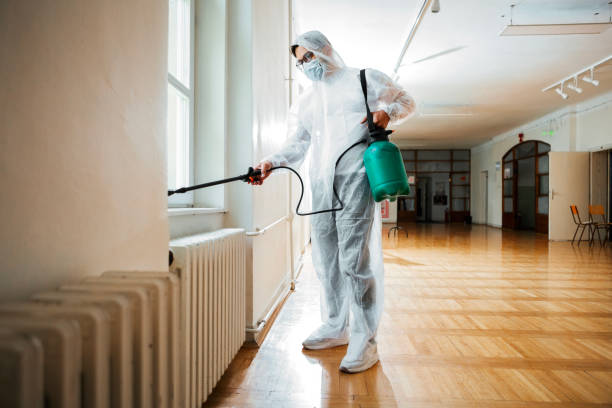 Best Emergency Pest Control  in Lamont, MI